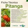 Ficha Técnica Pitanga