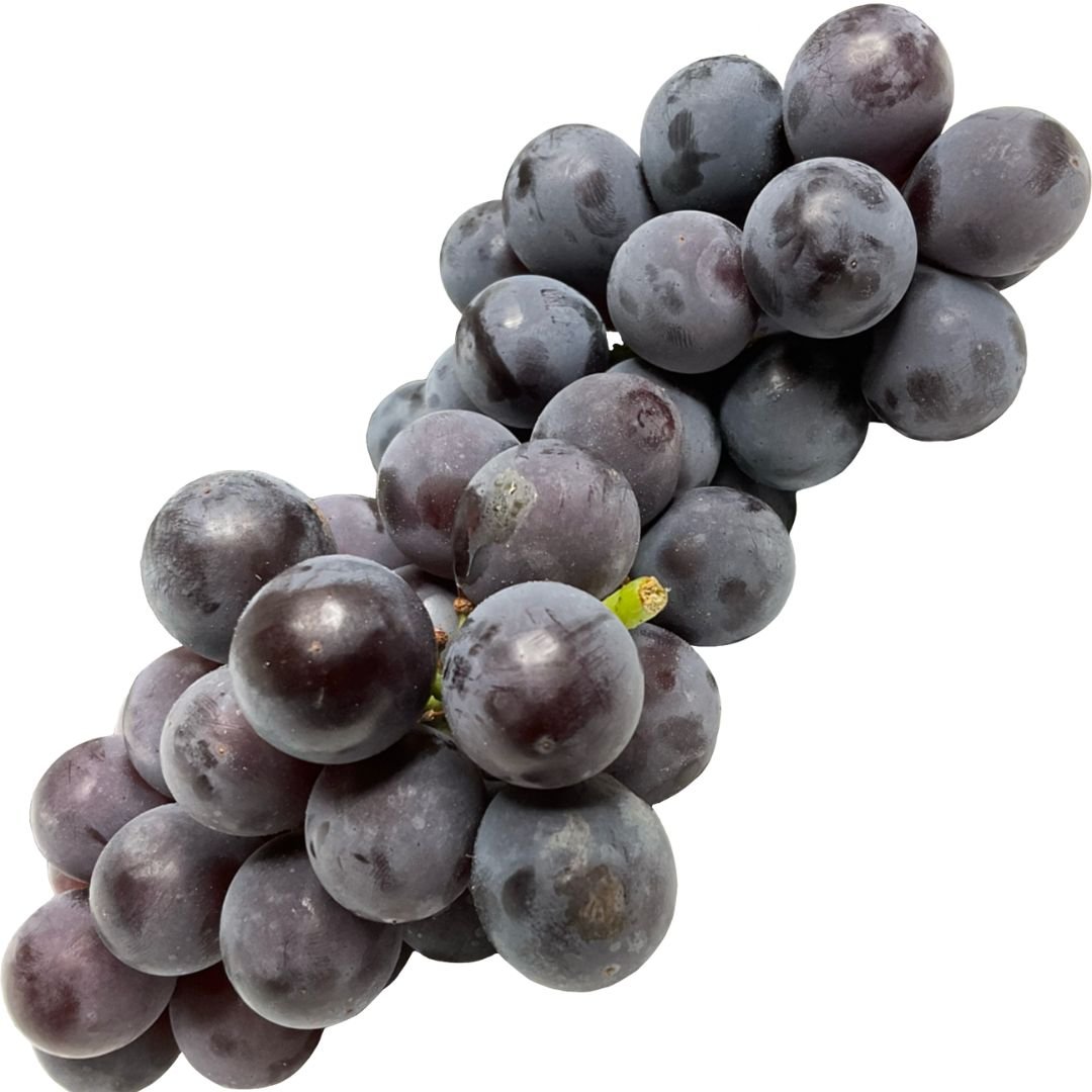 Muda de Uva Alfonso Lavallee