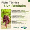 Ficha Técnica Uva Benitaka Ficha Técnica Uva Benitaka