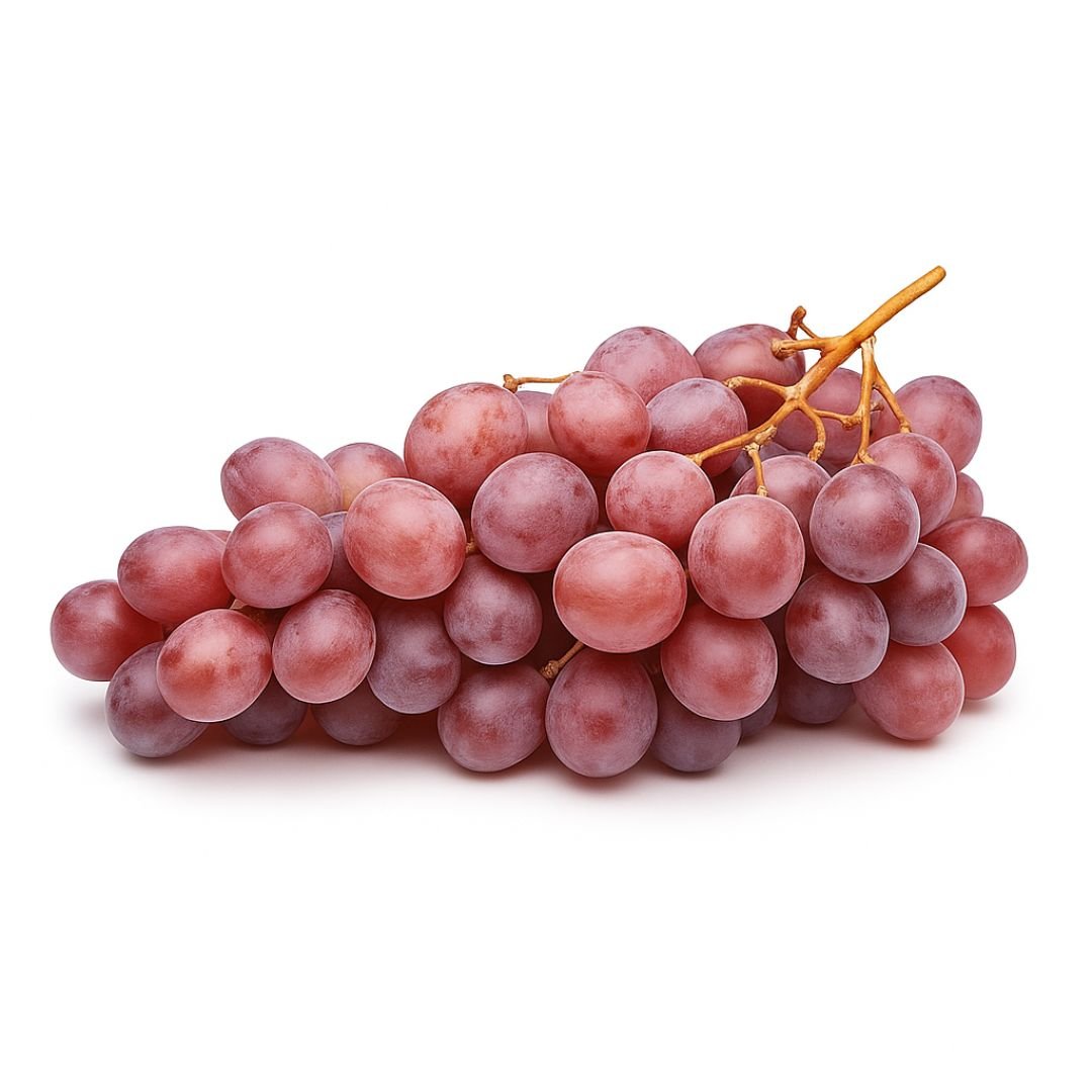 Muda de Uva Rubi Enxertada