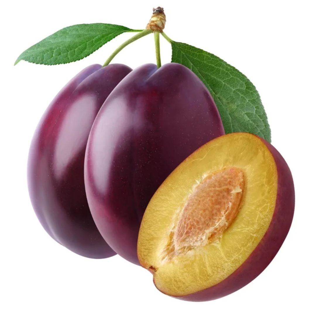 ameixa reubennel ideal para quintal ou sítio