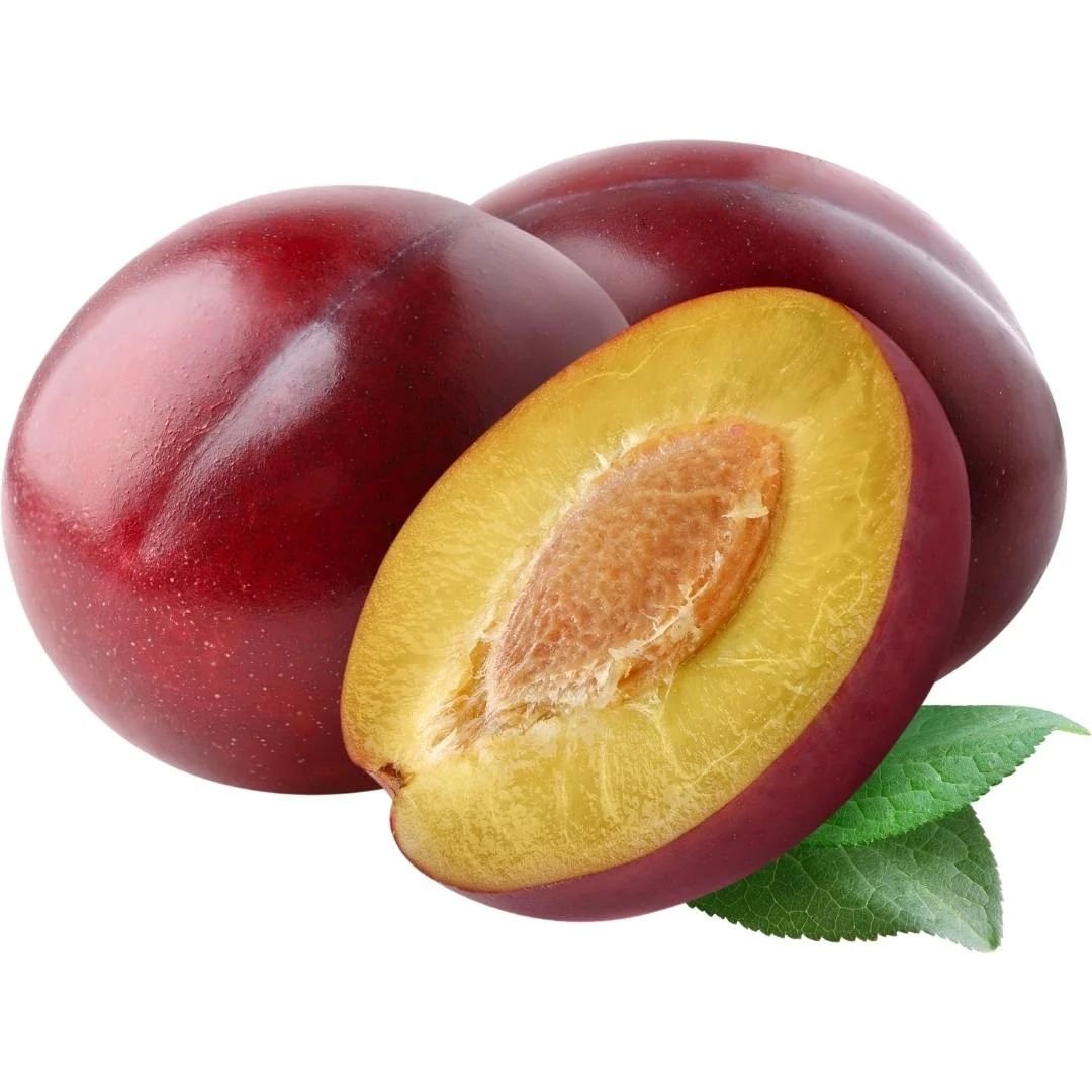 Muda de Ameixa Leticia Enxertada