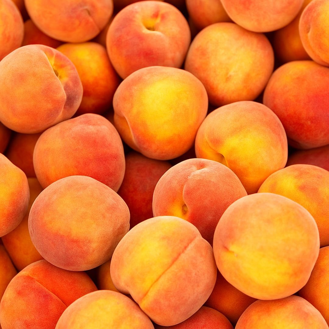 p&eacute; de pessego barbosa com frutos grandes