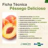Pêssego Delicioso Enxertado