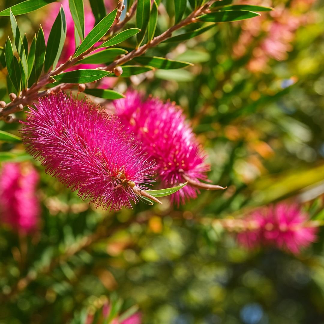escova de garrafa rosa, branco e vermelho pé de escova de garrafa com flores coloridas