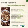 Castanha Portuguesa Castanha Portuguesa