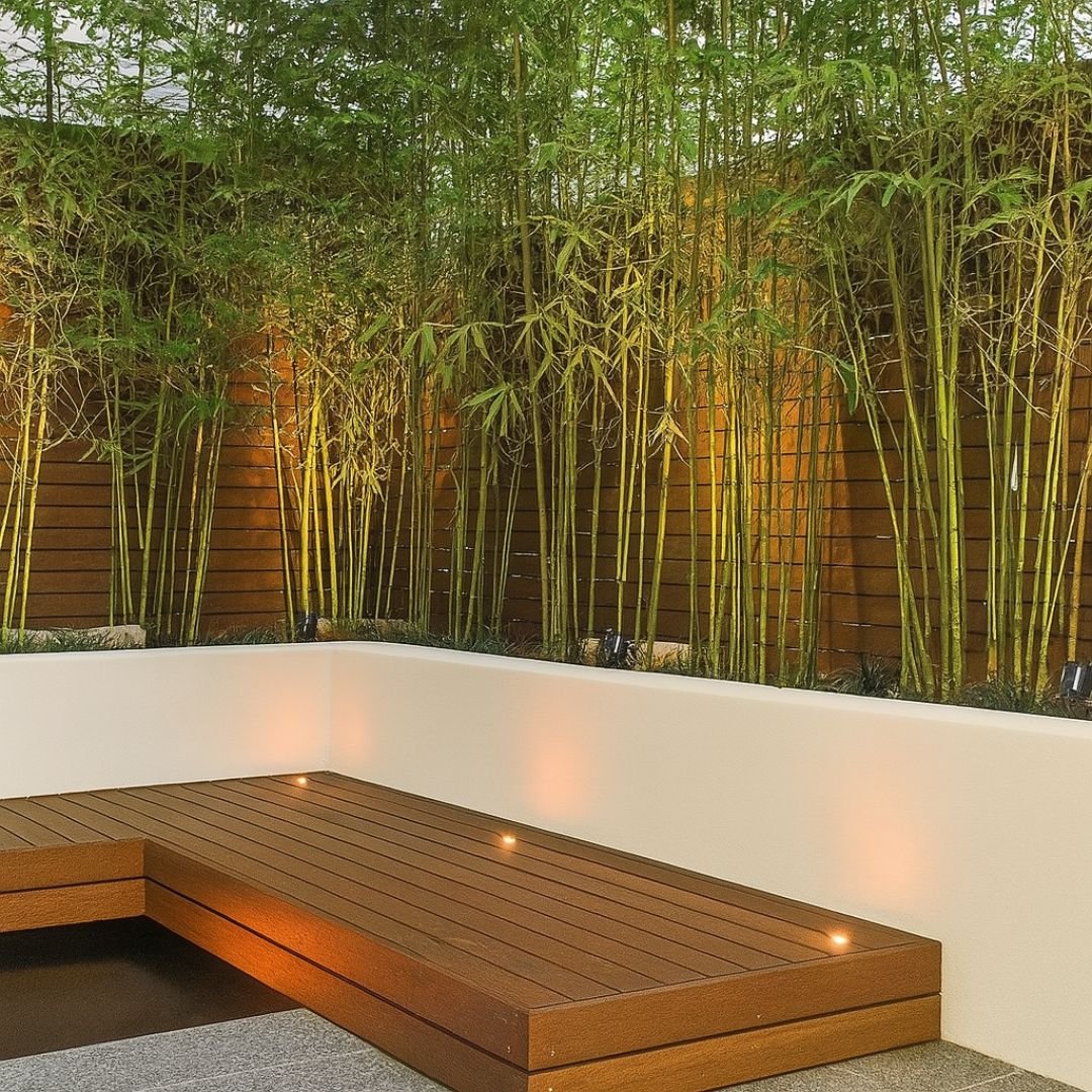 p&eacute; de bambuzinho com visual leve e elegante