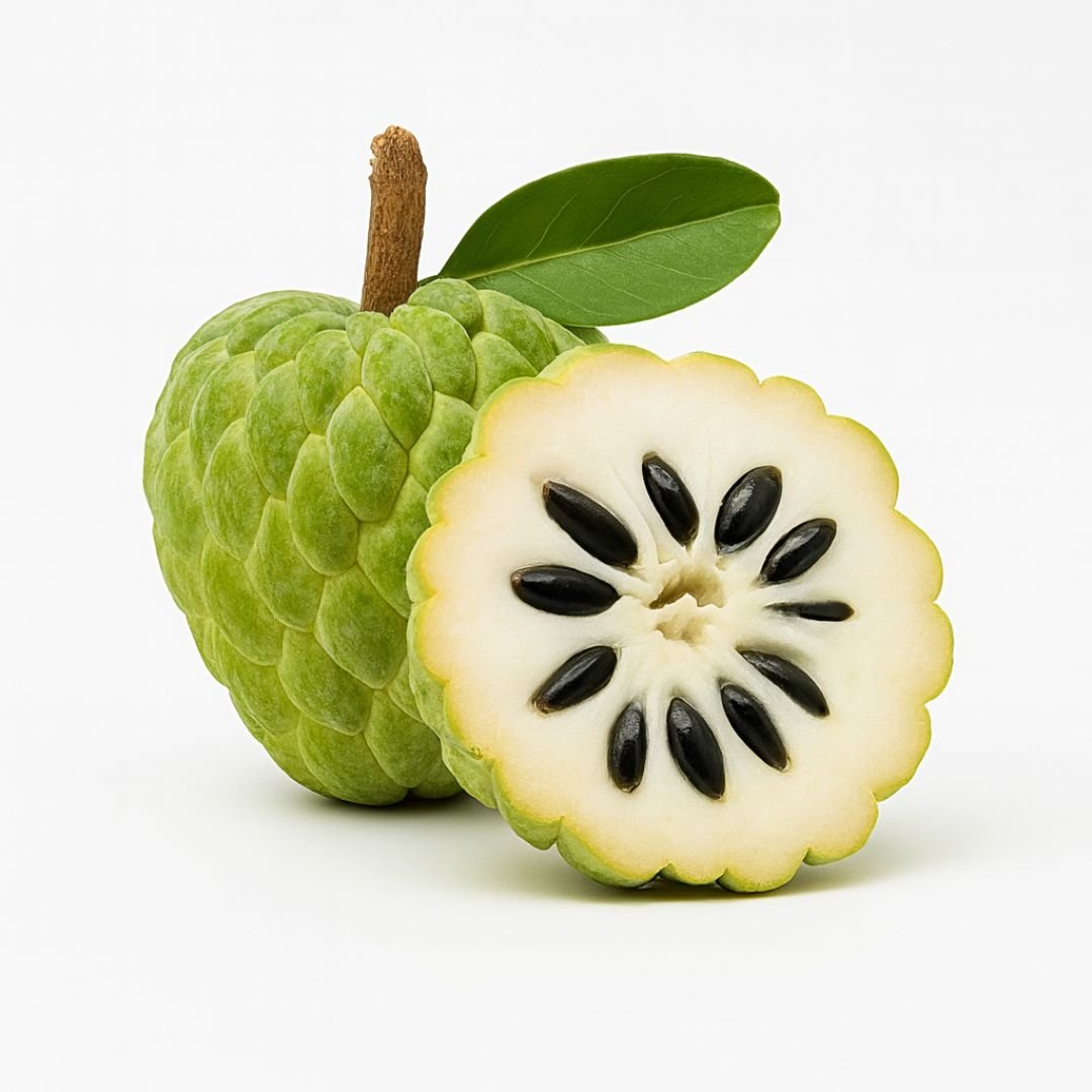 fruta do conde ideal para quintal e s&iacute;tio