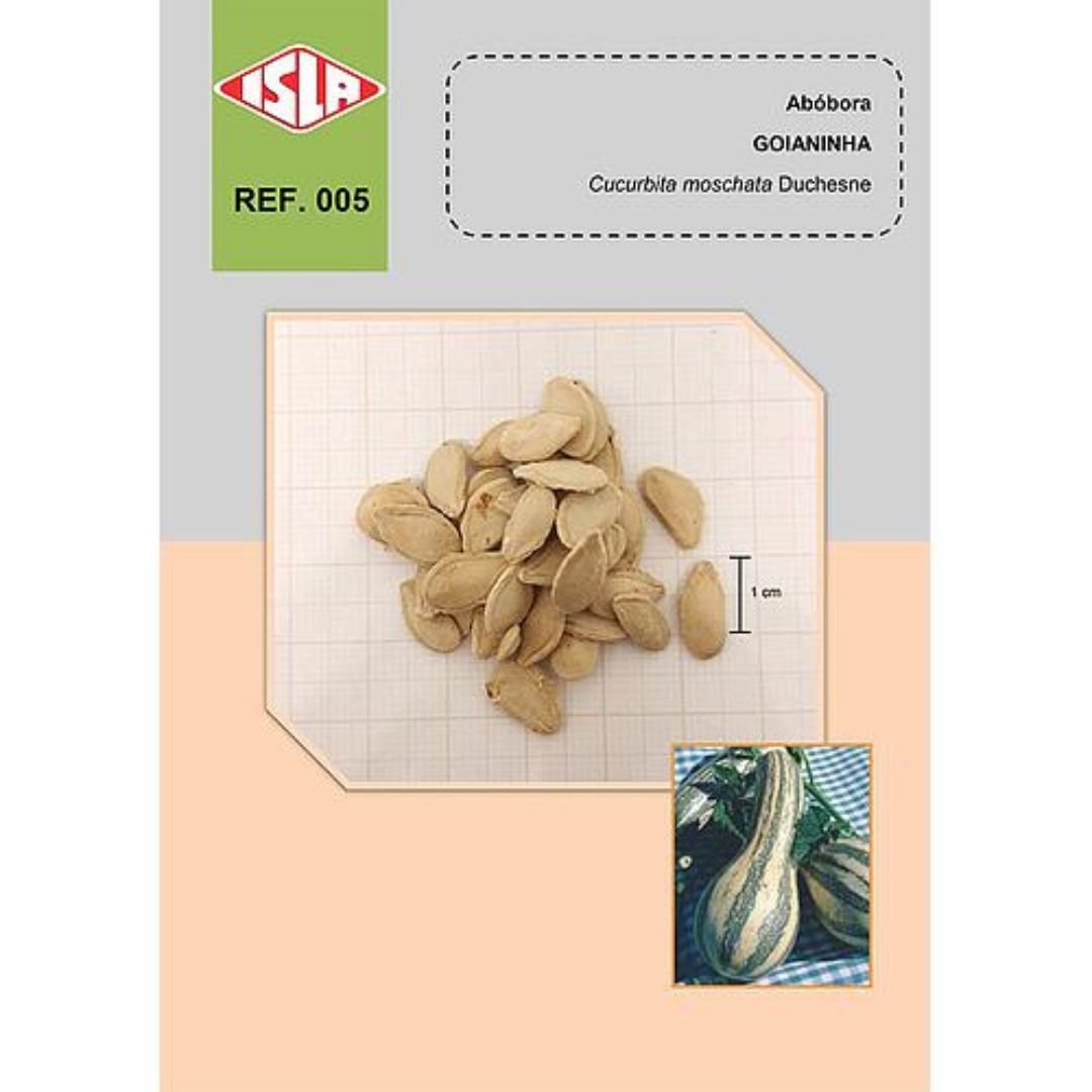 p&eacute; de ab&oacute;bora Goianinha com frutos doces e grandes