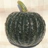 Semente de Abobora Tetsukabuto