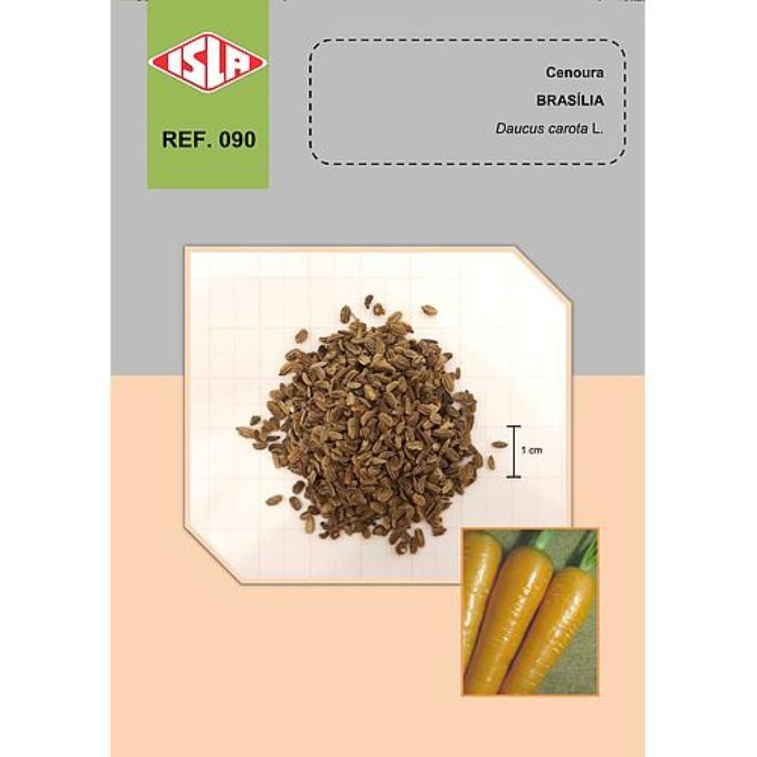 cenoura Bras&iacute;lia rec&eacute;m-colhida em horta dom&eacute;stica