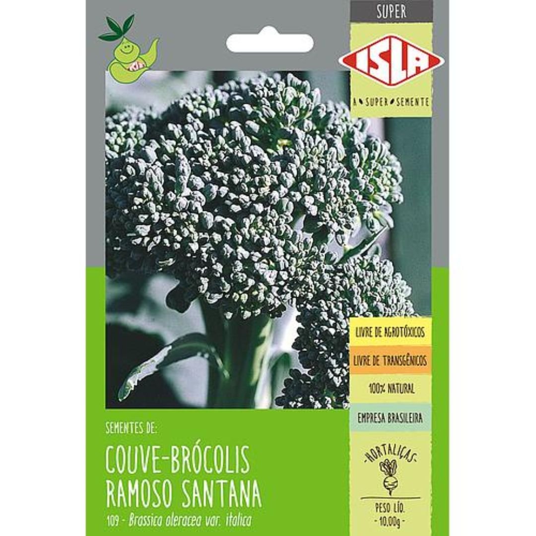semente de couve-br&oacute;colis Ramoso Santana produtiva