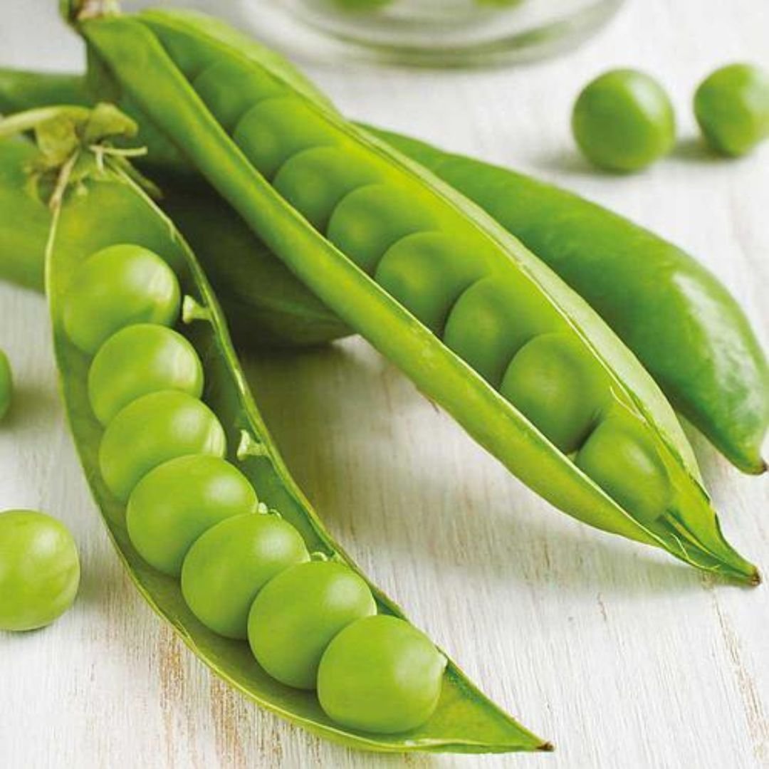 p&eacute; de ervilha Telefone Alta com gr&atilde;os gra&uacute;dos