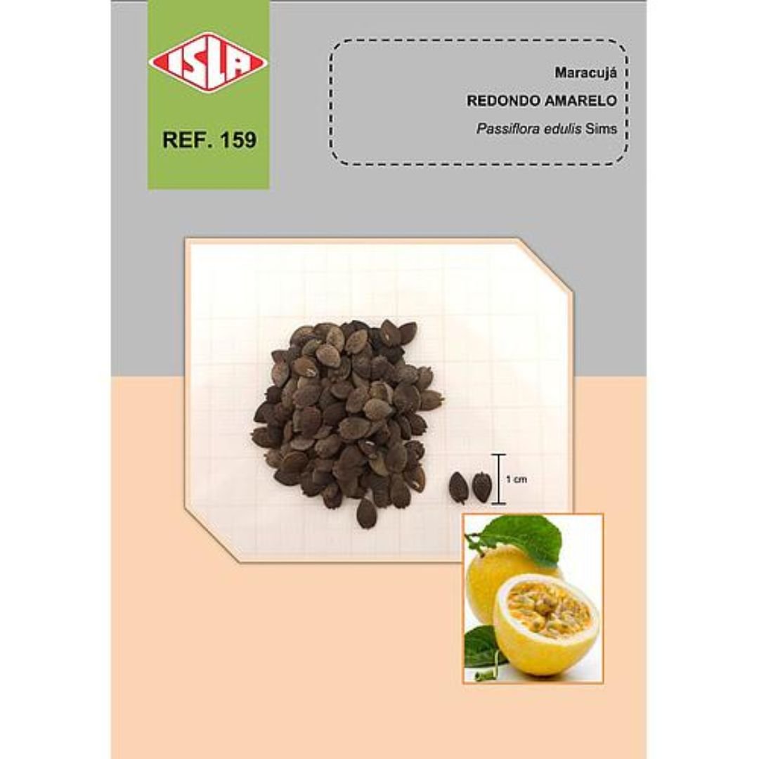 maracuj&aacute; redondo amarelo ideal para vaso e quintal