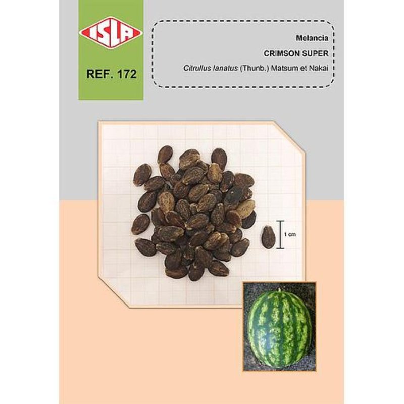 Semente de Melancia Crimson Sweet Semente de Melancia Crimson Sweet