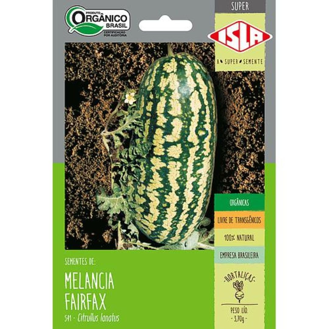 cultivo da melancia Fairfax em quintal ou s&iacute;tio