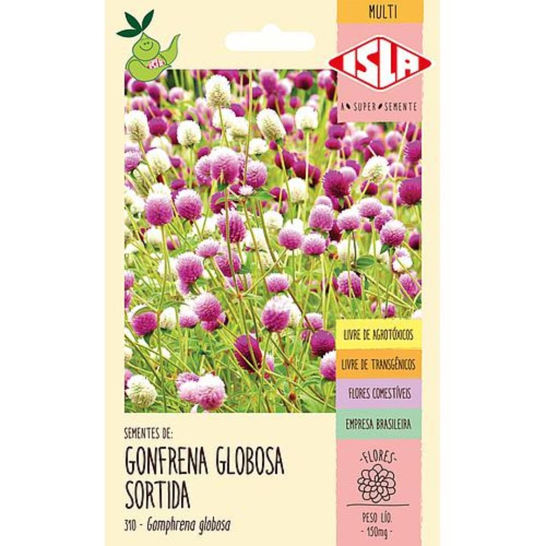 semente de gonfrena globosa sortida para jardim florido