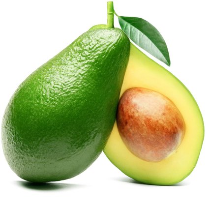 Pé de Abacate Fortuna