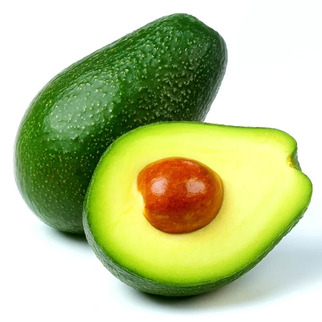 muda de abacate margarida enxertado