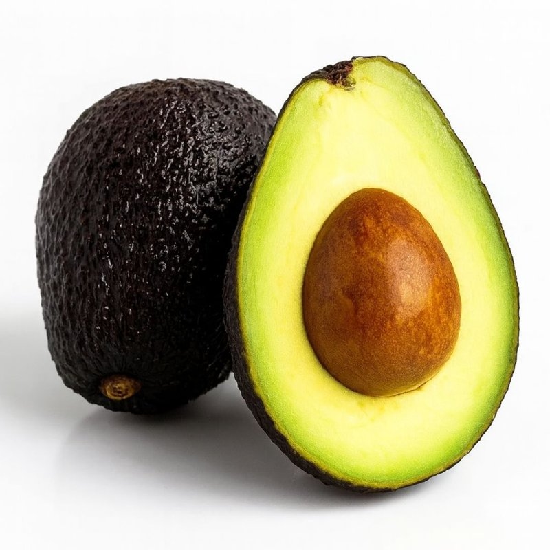 Muda de Avocado Enxertado Muda de Avocado Enxertado