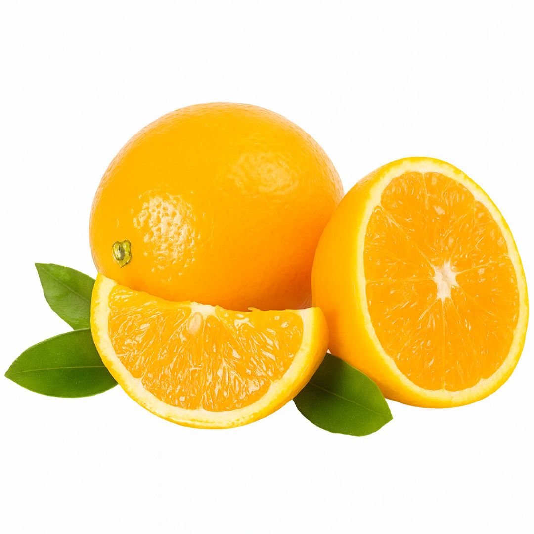 Muda de Laranja Bahia Importada Enxertada