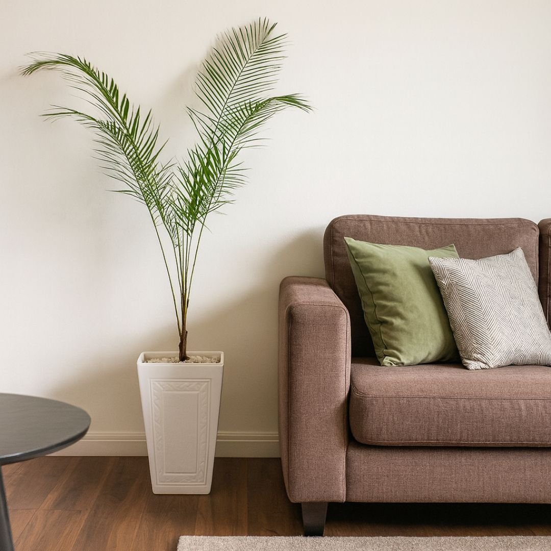 p&eacute; de coco vedeliano decorando sala interna