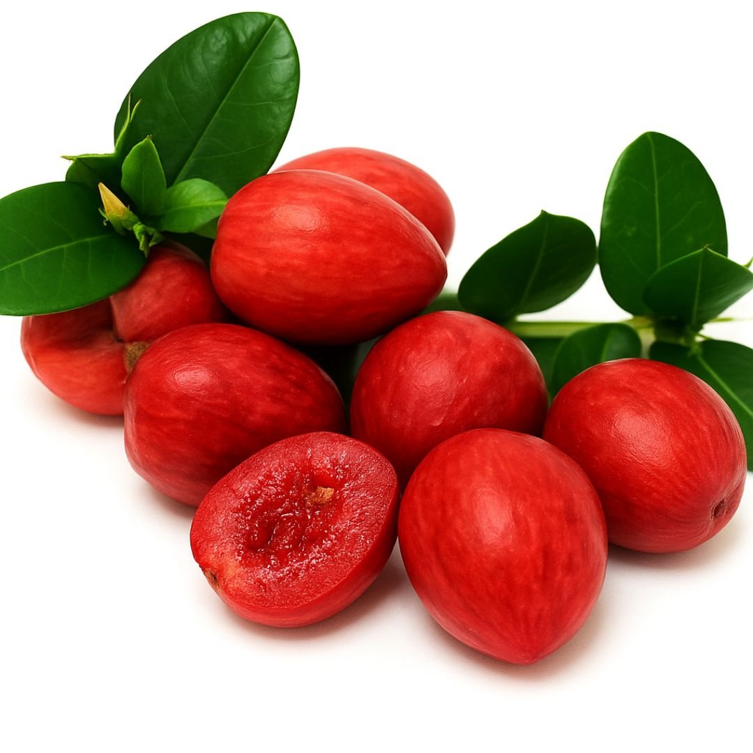 ameixa Natal ideal para plantar no quintal