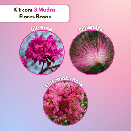 Kit com Mudas Rosa