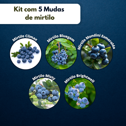 5 Mirtilos