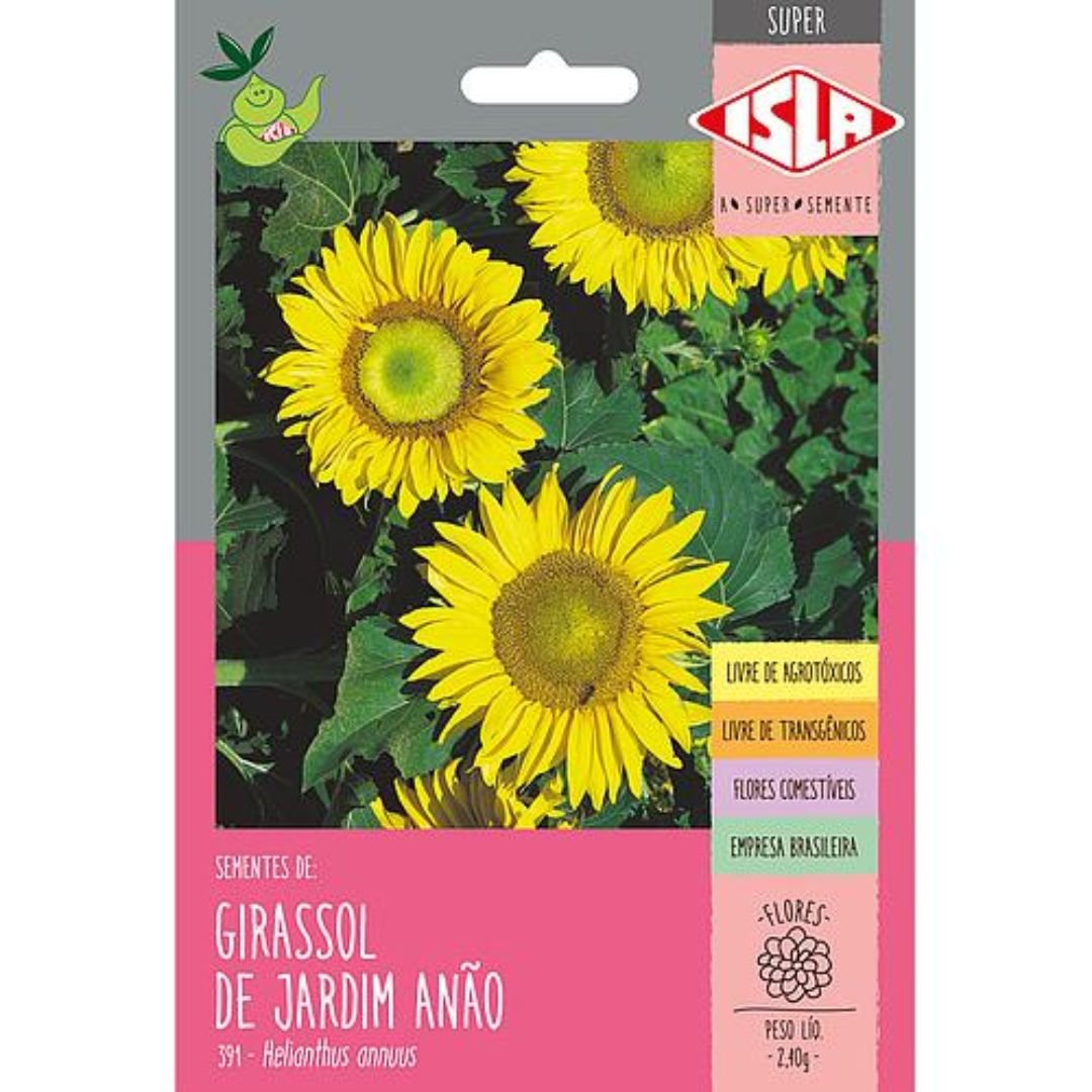 semente de girassol de jardim anão