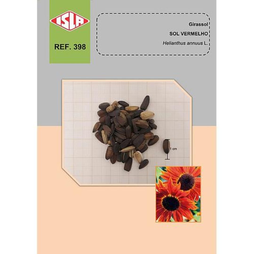 sementes de girassol sol vermelho com flora&ccedil;&atilde;o r&aacute;pida