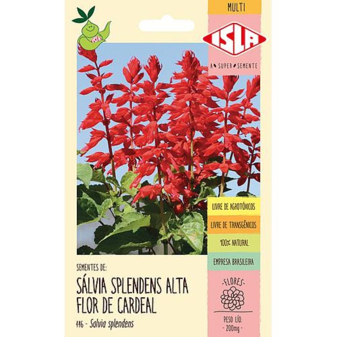 planta de s&aacute;lvia splendens alta flor-de-cardeal com flora&ccedil;&atilde;o vermelha intensa