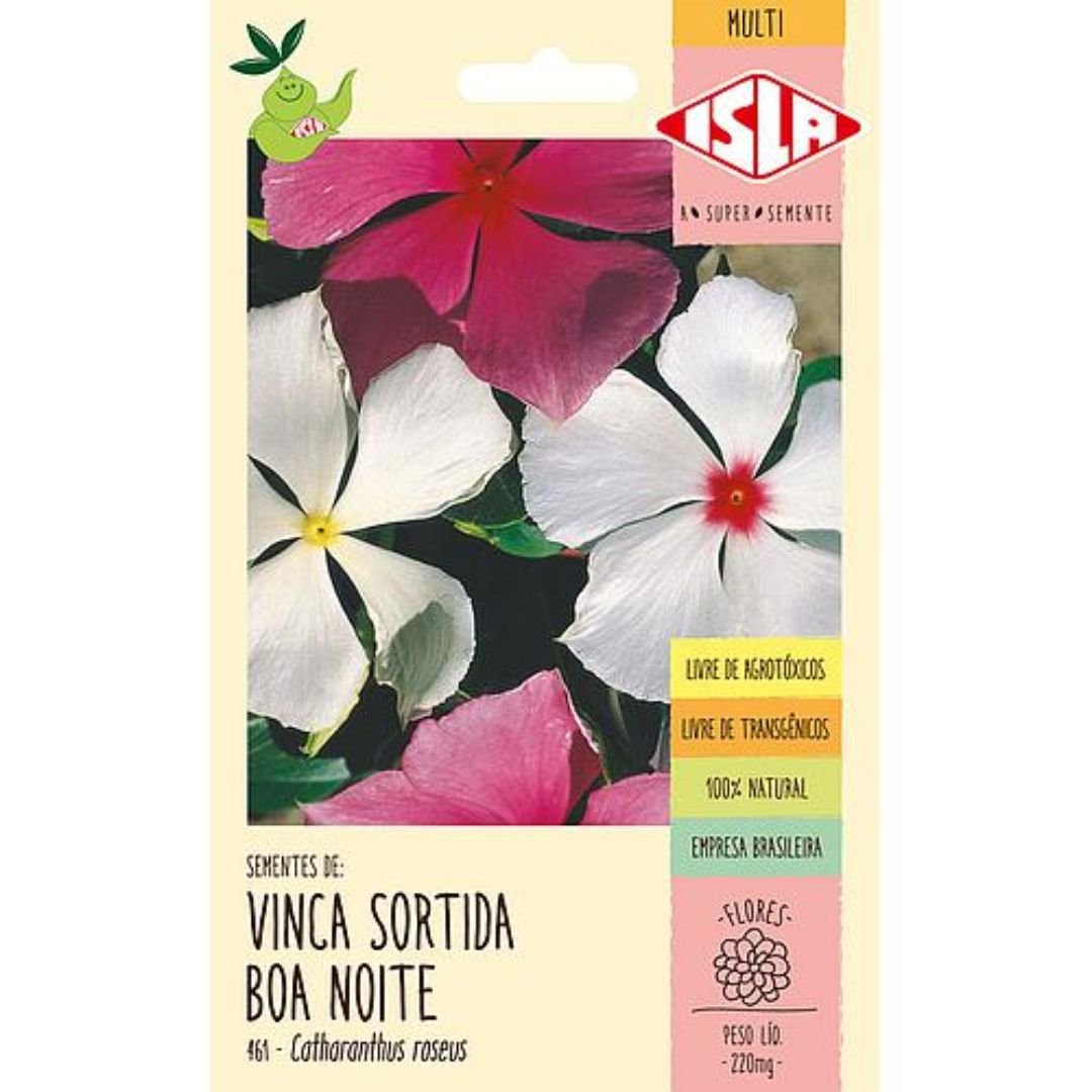p&eacute; de vinca sortida boa-noite com flores coloridas e sol direto