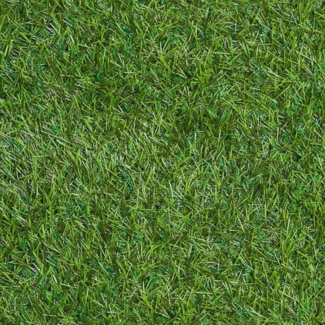 p&eacute; de grama folha fina carpete bem aparado e verde