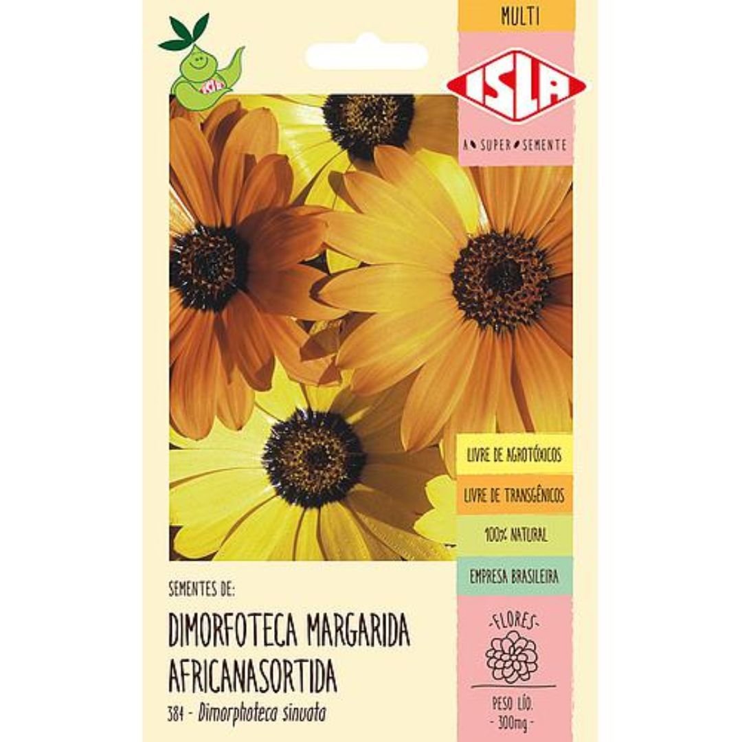 dimorfoteca margarida africana sortida com flores amarelas e marrons em formato de margarida
