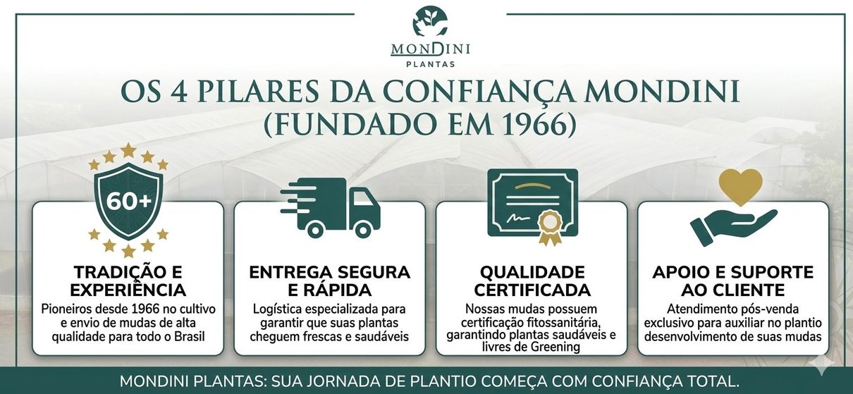 Os 4 pilares de confian&ccedil;a Mondini