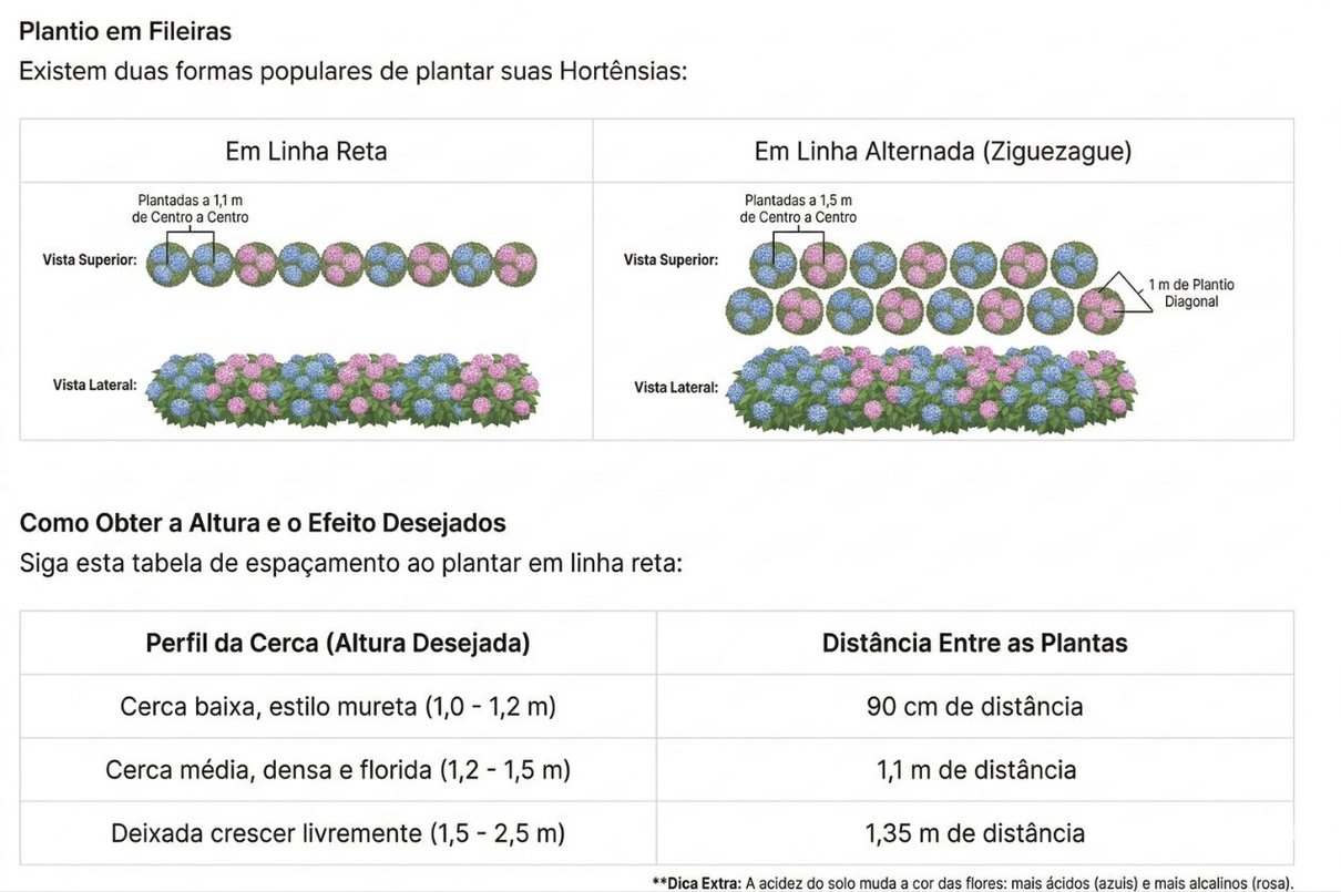 Espa&ccedil;amento Ideal de Hortensias