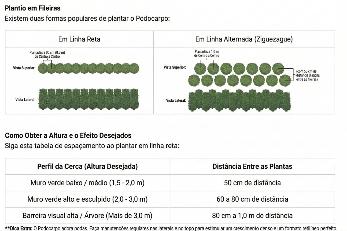 Espa&ccedil;amento Ideal Podocarpo