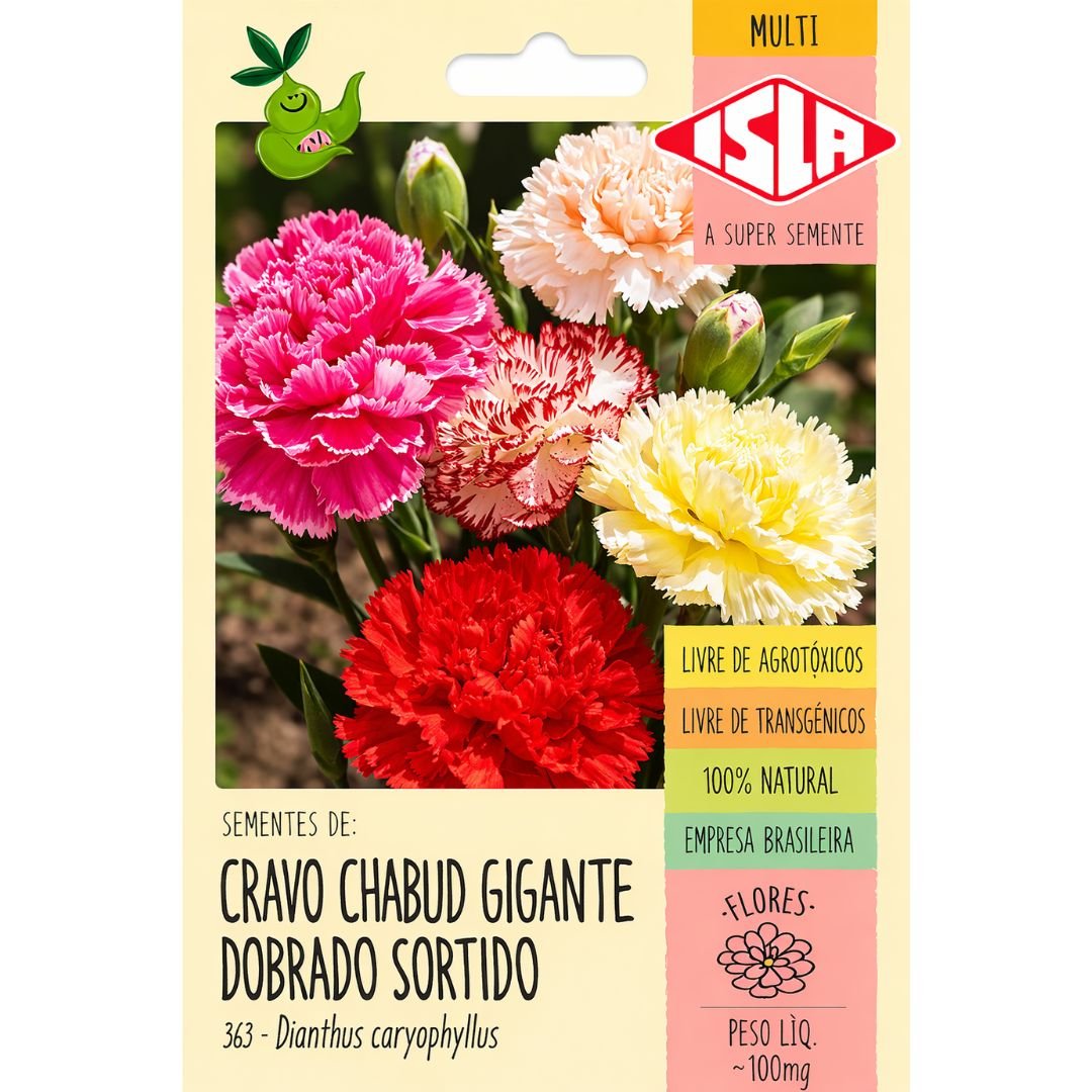 cravo chabaud gigante dobrado amarelo branco e vermelho para vasos e jardins