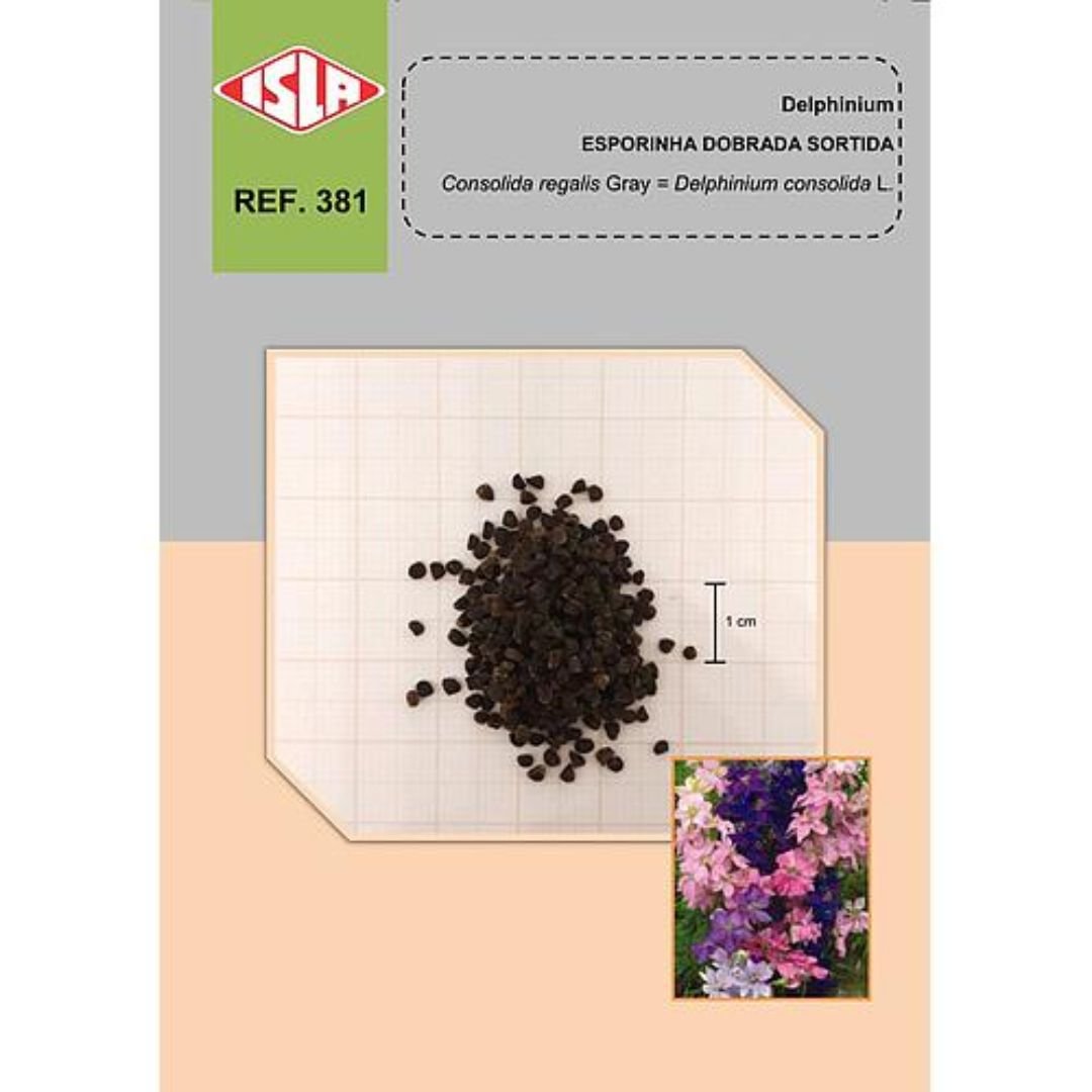delphinium com hastes altas e flores ornamentais