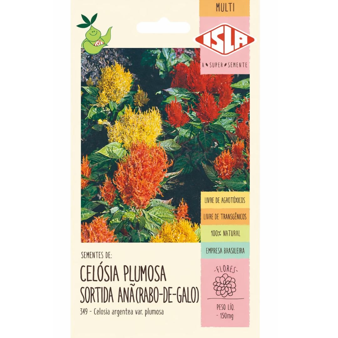 semente de celosia plumosa sortida an&atilde; rabo de galo para cultivo ornamental