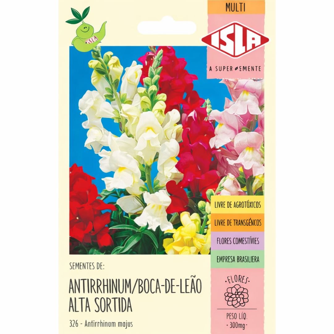 semente de boca de le&atilde;o alta que produz flores coloridas