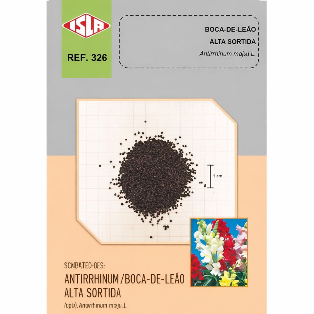 antirrhinum sortido ideal para vaso e jardim