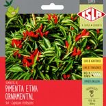 semente de pimenta etna ornamental para vaso