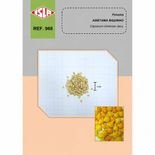 p&eacute; de pimenta biquinho amarela com frutos suaves e produtivos