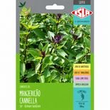 semente de manjeric&atilde;o cannella com aroma de canela