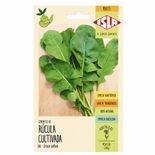 semente de r&uacute;cula cultivada com crescimento r&aacute;pido