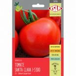 semente tomate santa clara produtiva para horta