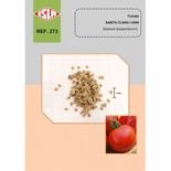 p&eacute; de tomate santa clara com frutos vermelhos