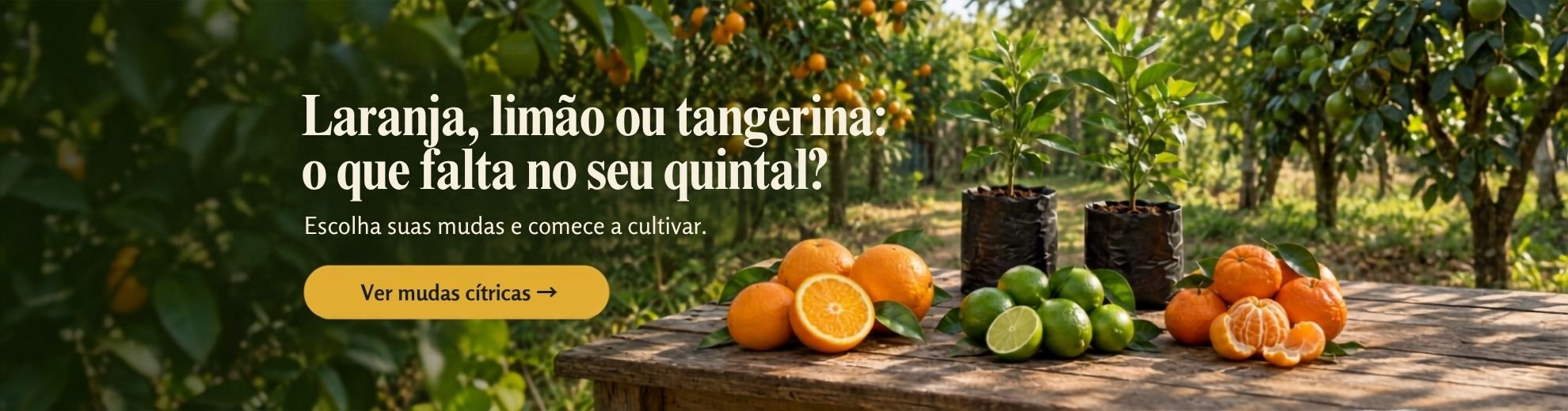 preenchimento por layout da imagem 2